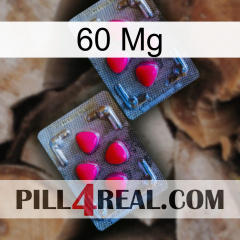 60 Mg 14